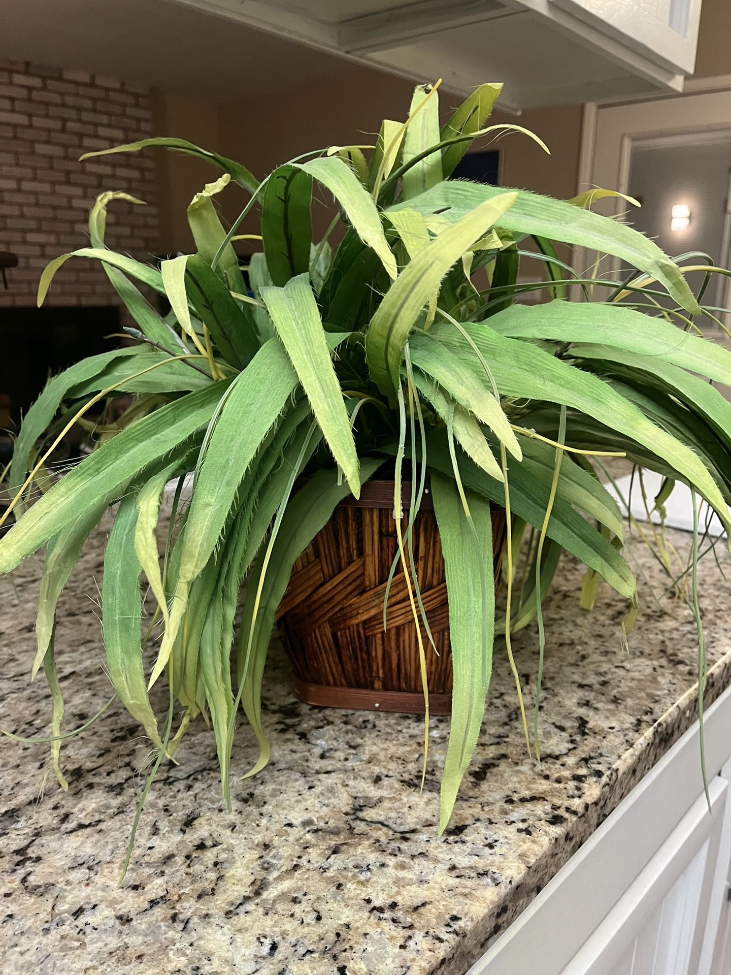 Fake Plant 