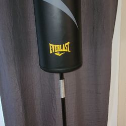 Everlast Weighted  Standing Boxing Bag