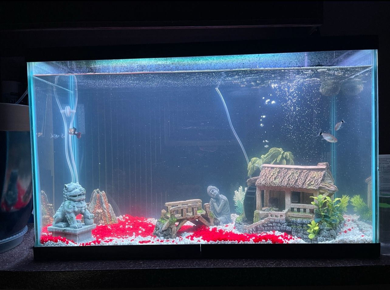  50 Gallon Tank with Filter System and Decor