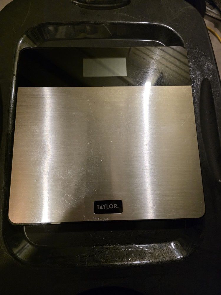 Taylor Digital Scale