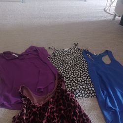 Clothing Bundle (Shirts/blouses)