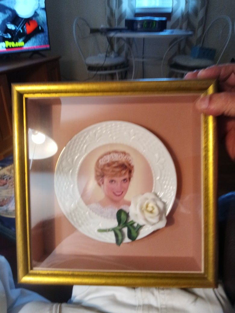 Collector Plates