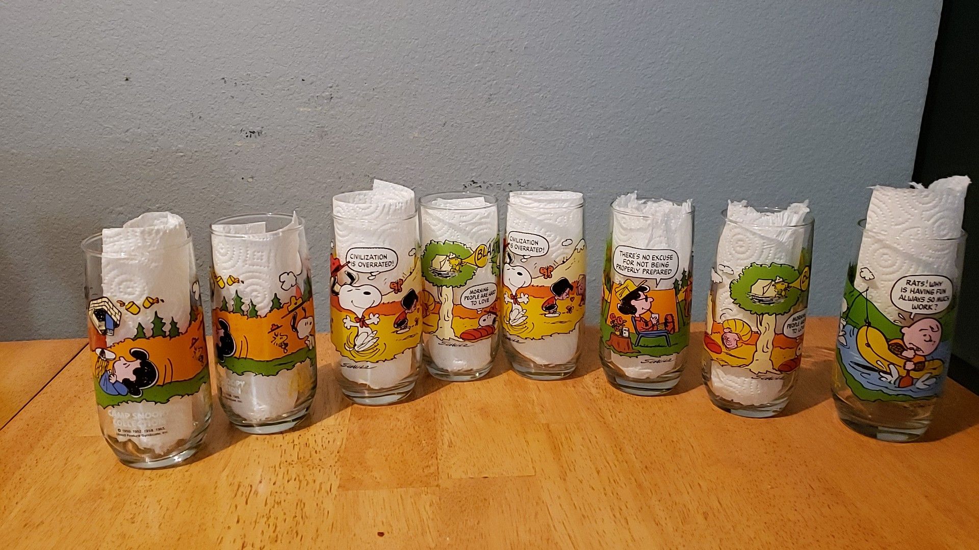 Camp Snoopy Collection set of 8 glasses