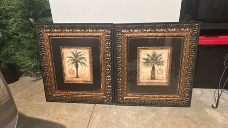Pair of Framed Palm Trees