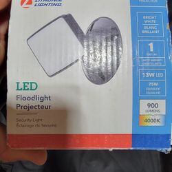 LED Outdoor Floodlight 