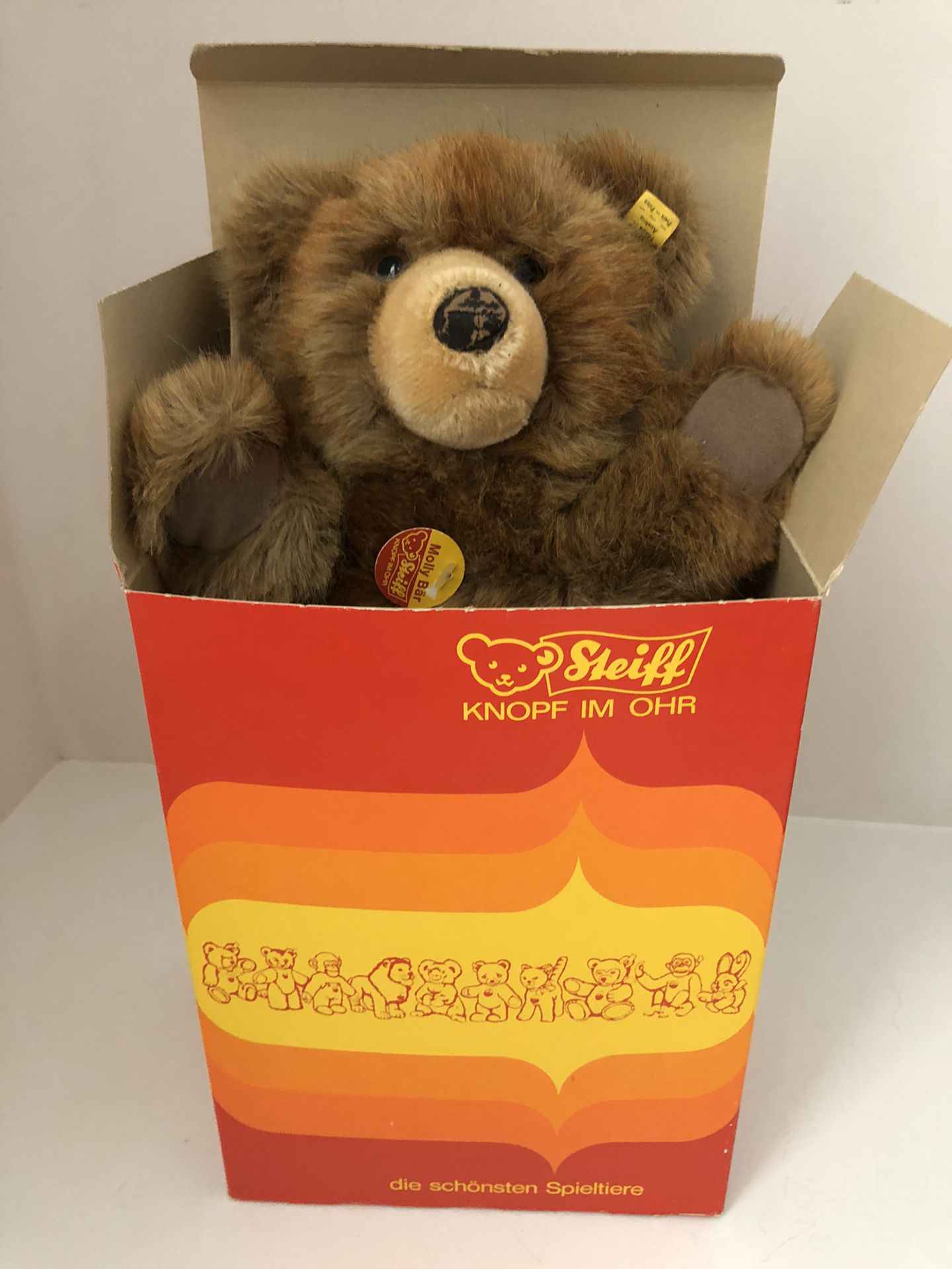 Steiff Molly Bear with Tag in ear with box