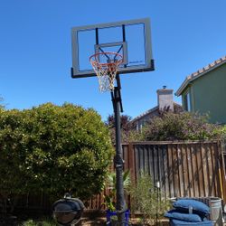 Reebok Basketball Outdoor Hoop