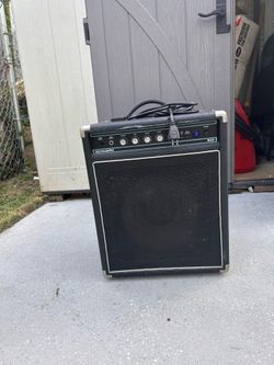 Bass amp speaker