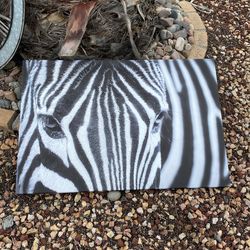 Zebra Canvas