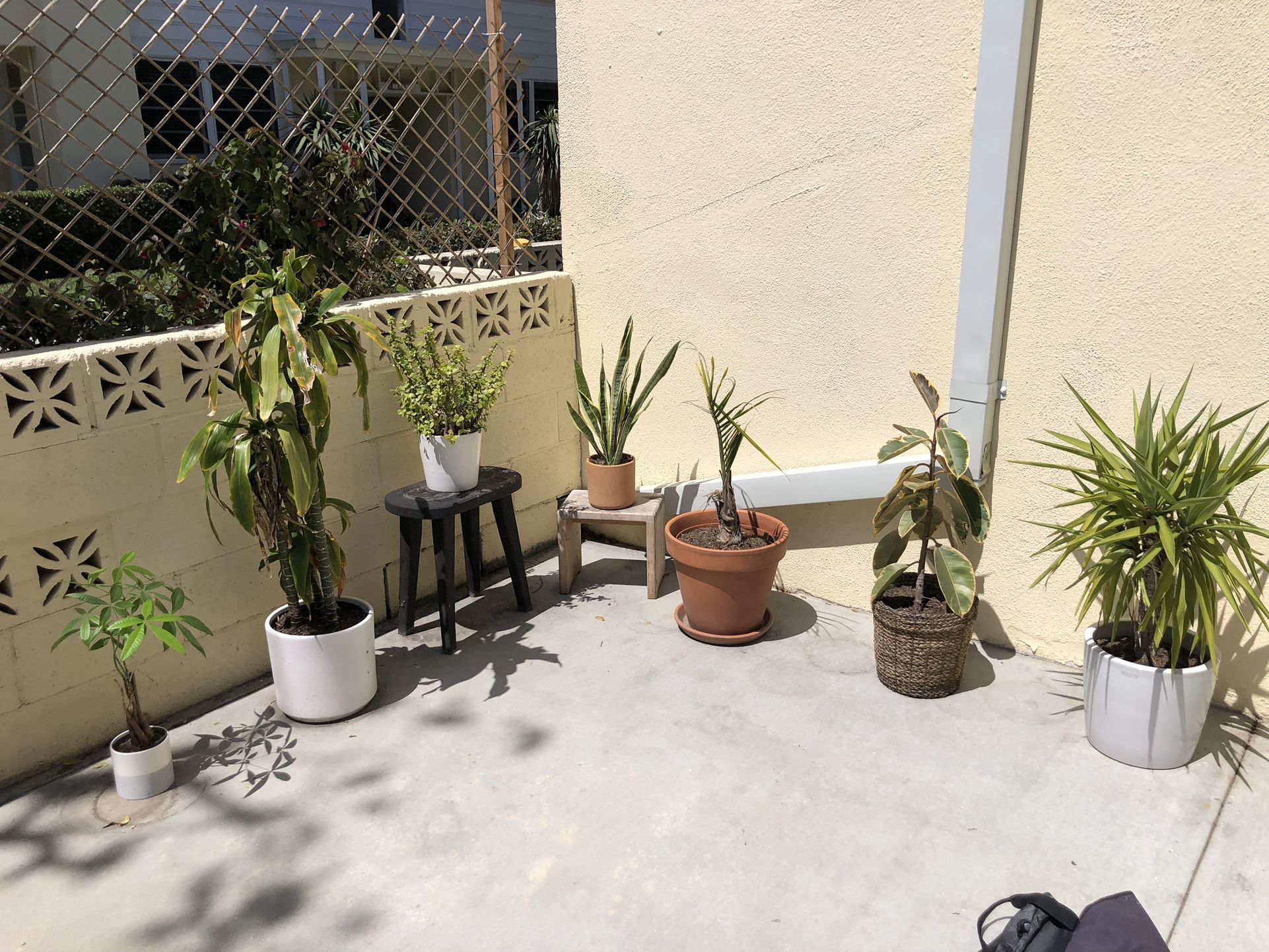 Plants And Pots