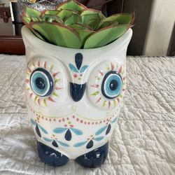 Ceramic Owl Planter W/ Faux Succulents 