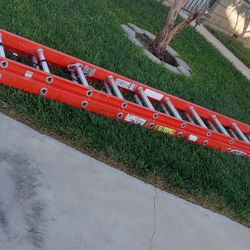 Werner Ladder