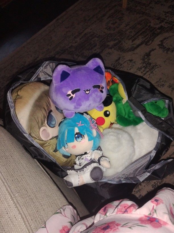 Bag Of Plushies And Collectables 