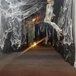 Halloween Anamitronics 