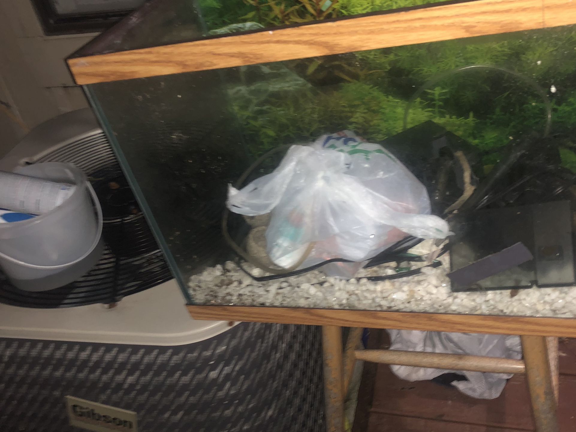 50 Gal Aquarium With Everything You Need, 2 Filters And Heater