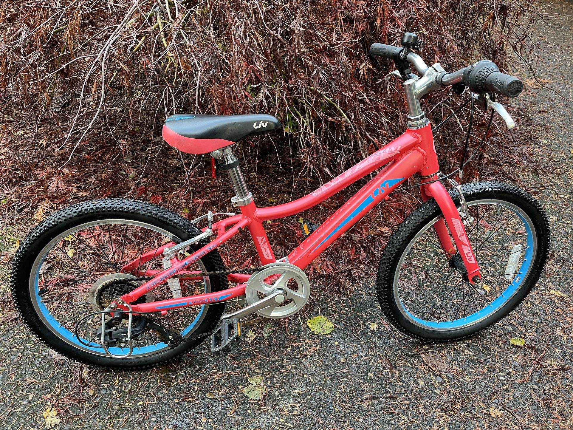 Bike 20”