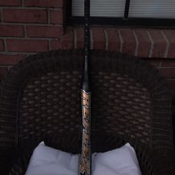 Bat