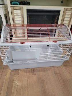 Guinea Pig Cage