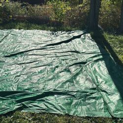 Tarp