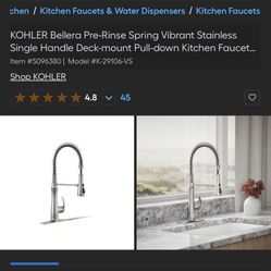 New Kohler sink sprayer