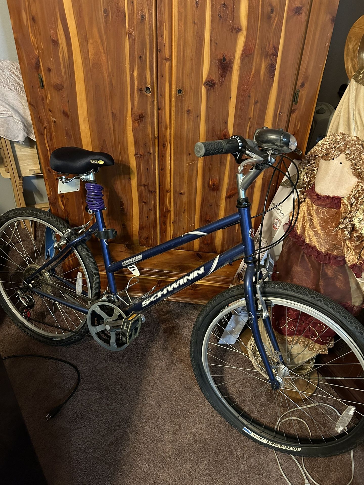 Schwinn Bicycle