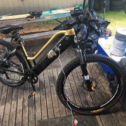 Bicicleta 