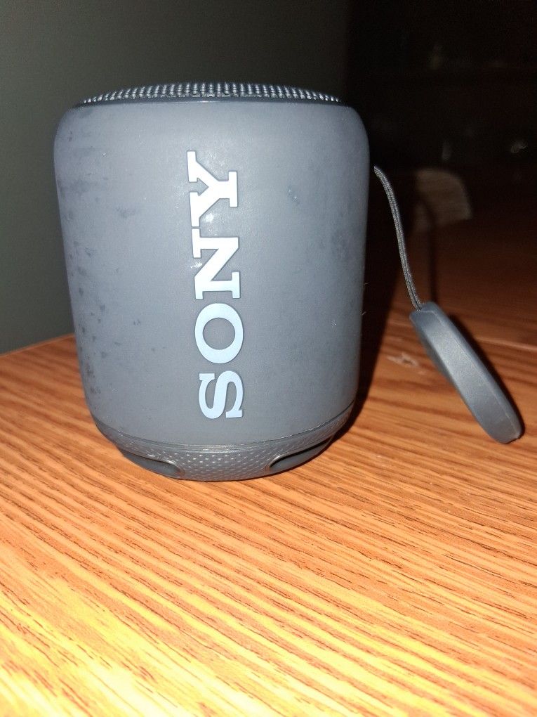 Sony Wireless Speaker