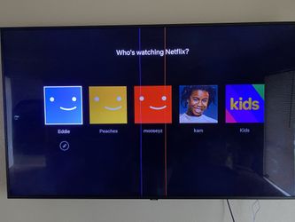 Samsung 75in Television