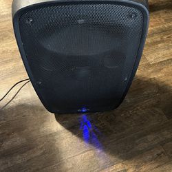 Ion Bluetooth Speaker 