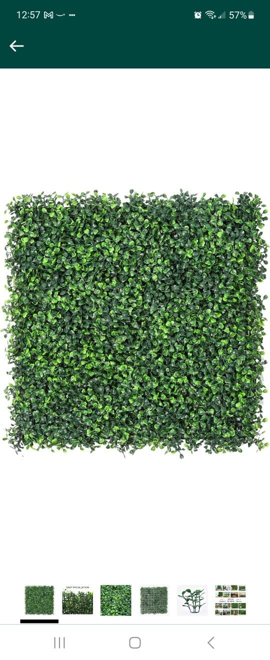 Green wall 20×20 (30 Pieces)