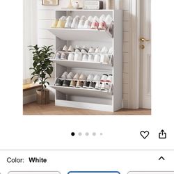 Shoe  Storage Cabinet 