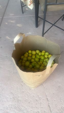 Mexican lemons