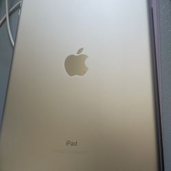5th Gen iPad