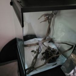 Terrarium 