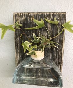 Wall decor flower vase propagation planter