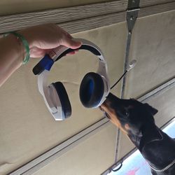 Hyper X Wireless Headset