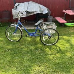Tricycle bike