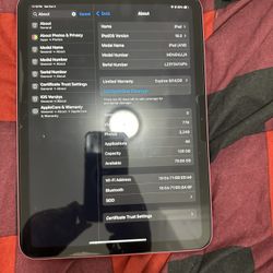 pink ipad (a16)