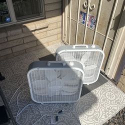 Box Fans