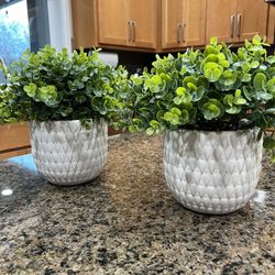 Artificial Plants Set Of 2