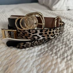 Brand New Pack Of 4 Woman’s Belts . L/XL $10 