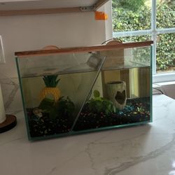 Fish Tank With Two Separate Sections 