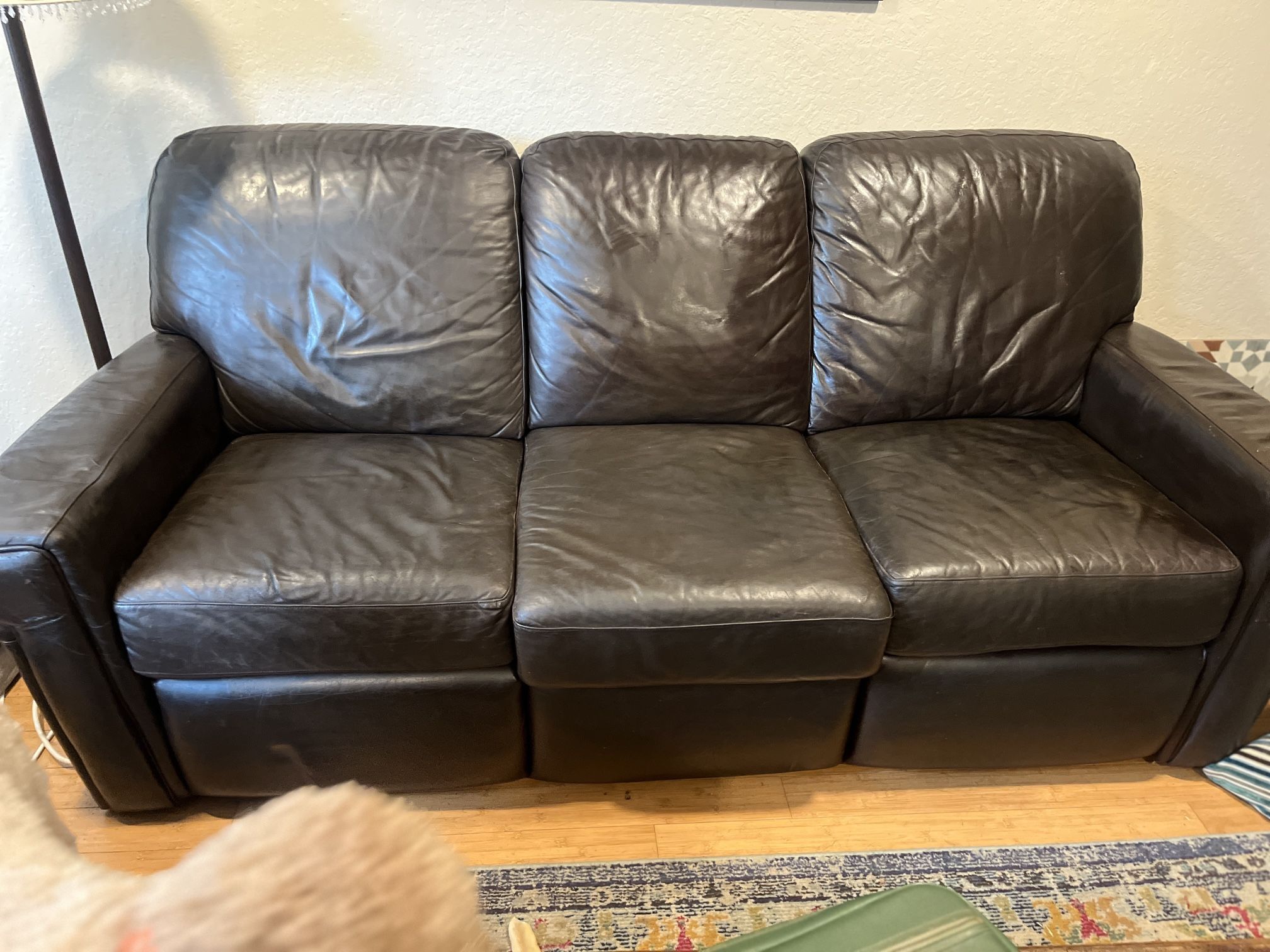 Free Leather Couch