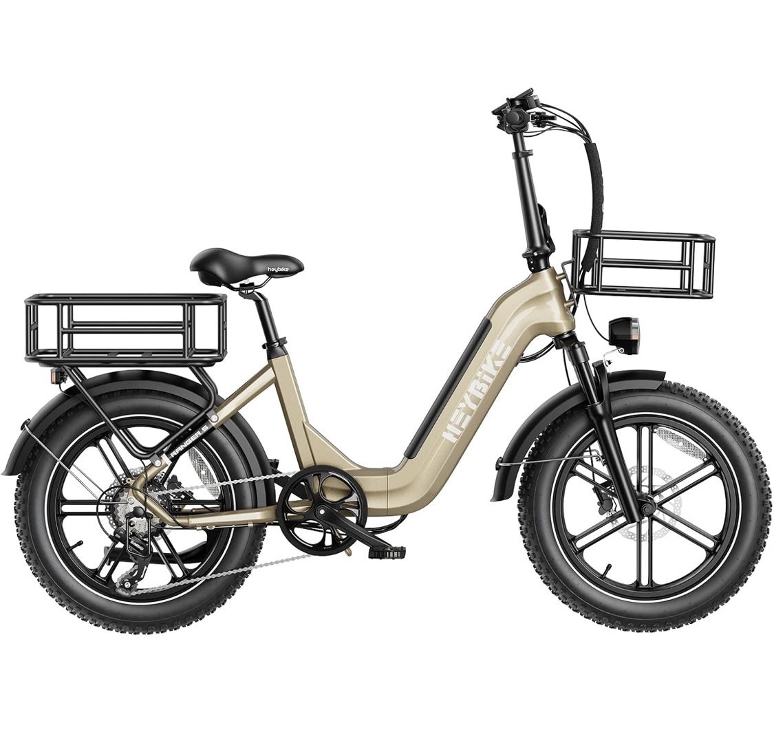 Electric Bike