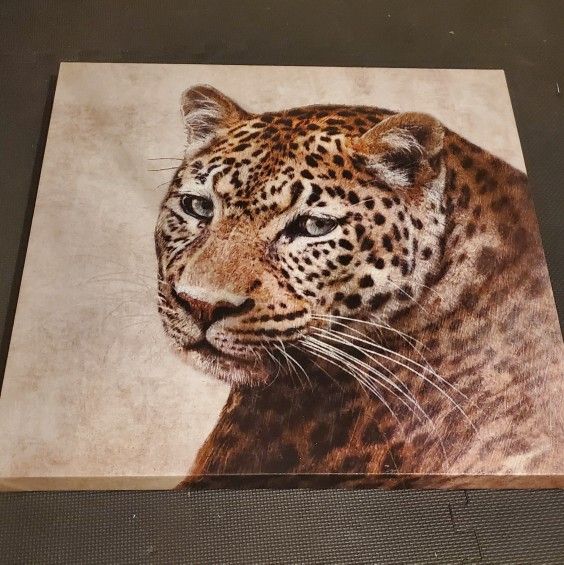 Leopard Canvas Print (30"x30")