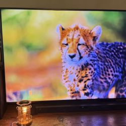 65 Inch 4k Samsung TV With Lg Soundbar And Speaker