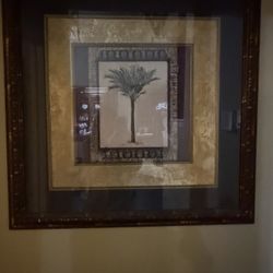 Framed Palm Artwork 34” X 34”