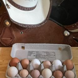 Fresh Eggs For Sale $5