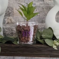 Mother's Day Plant Decor