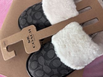 coach slipper